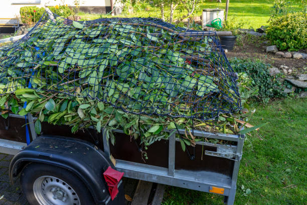 Best Carpet Removal and Disposal  in Northfield, NJ
